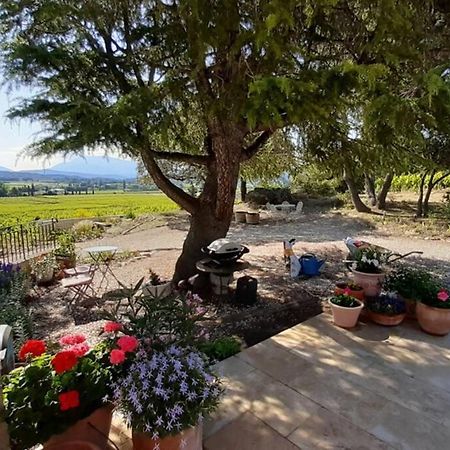 Le Clos Des Pins, Vue Mont Ventoux Roaix Exteriér fotografie