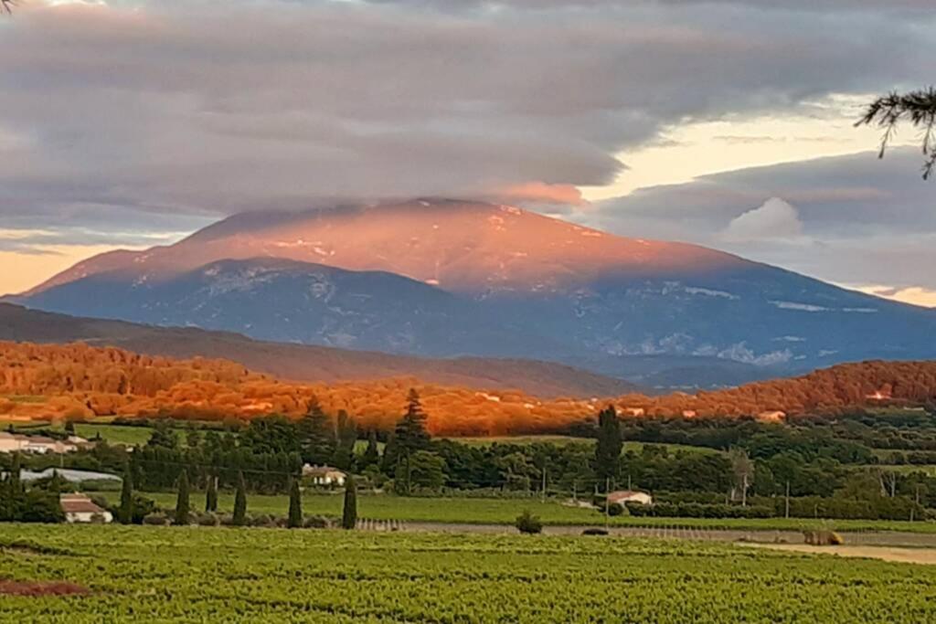 Le Clos Des Pins, Vue Mont Ventoux Roaix Exteriér fotografie